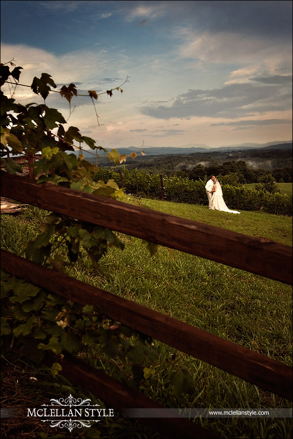 Fontaine_Vineyard_Wedding_Photography fontaine_vineyard_wedding2