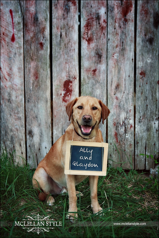 Franklin_Engagement_Photography