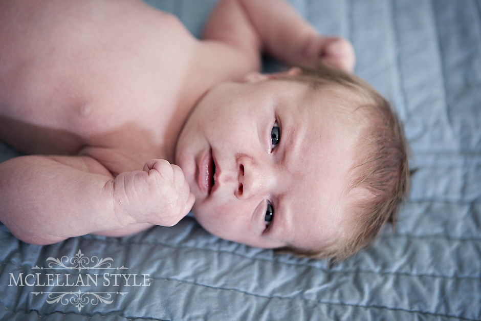 Franklin_newborn_Photography